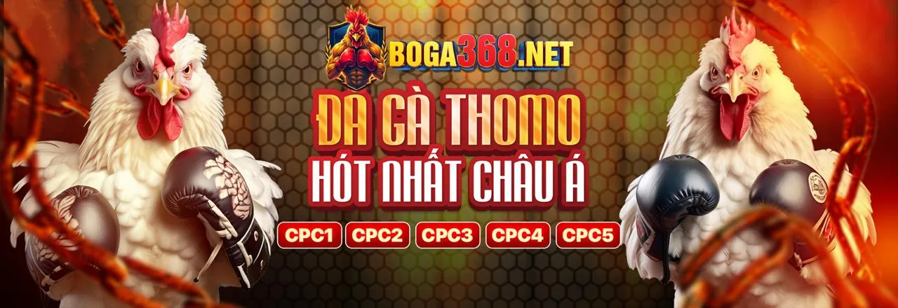 Câu hỏi chung về Gacam888